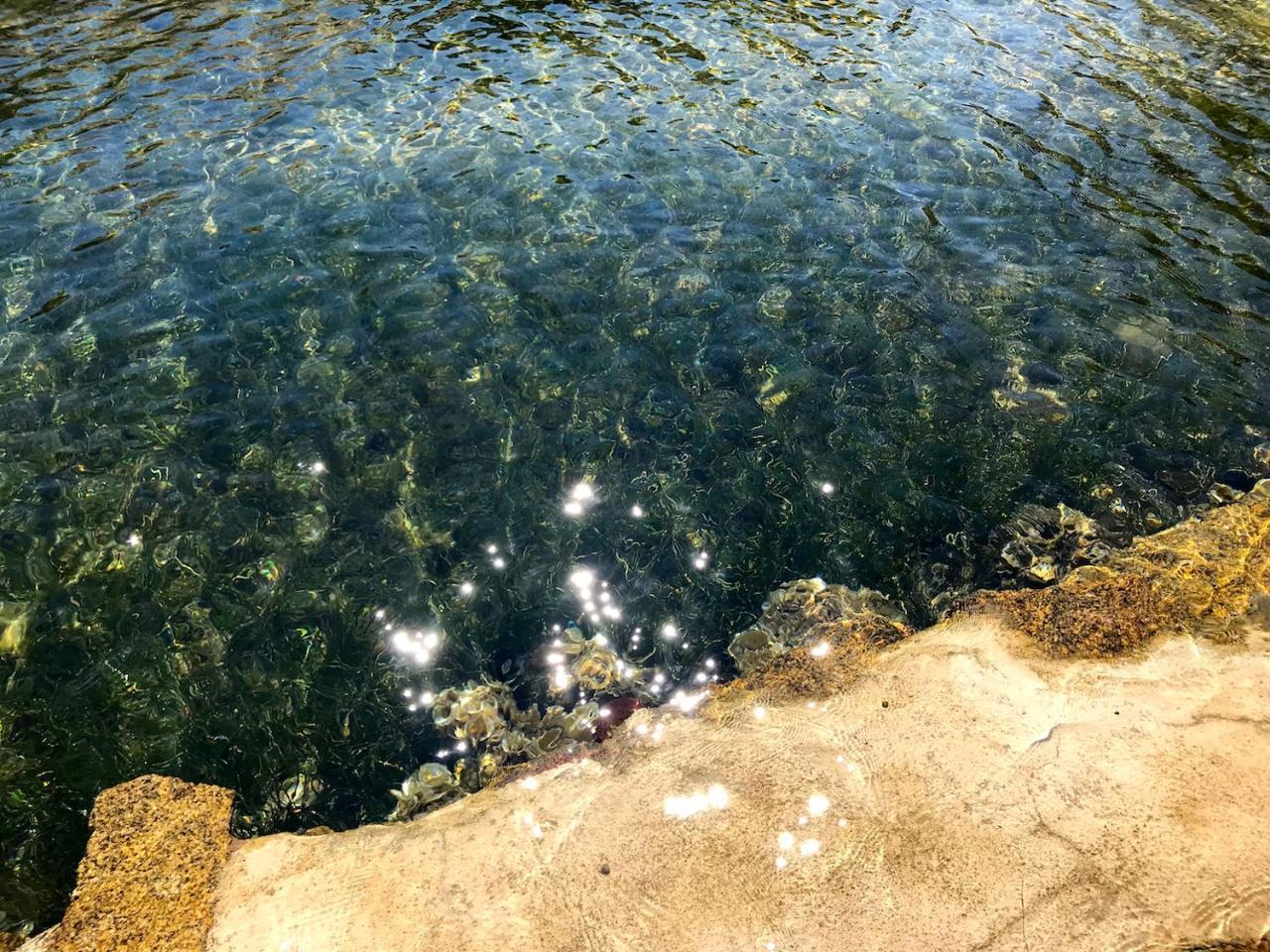 Villa Mica La Maddalena  Eksteriør bilde